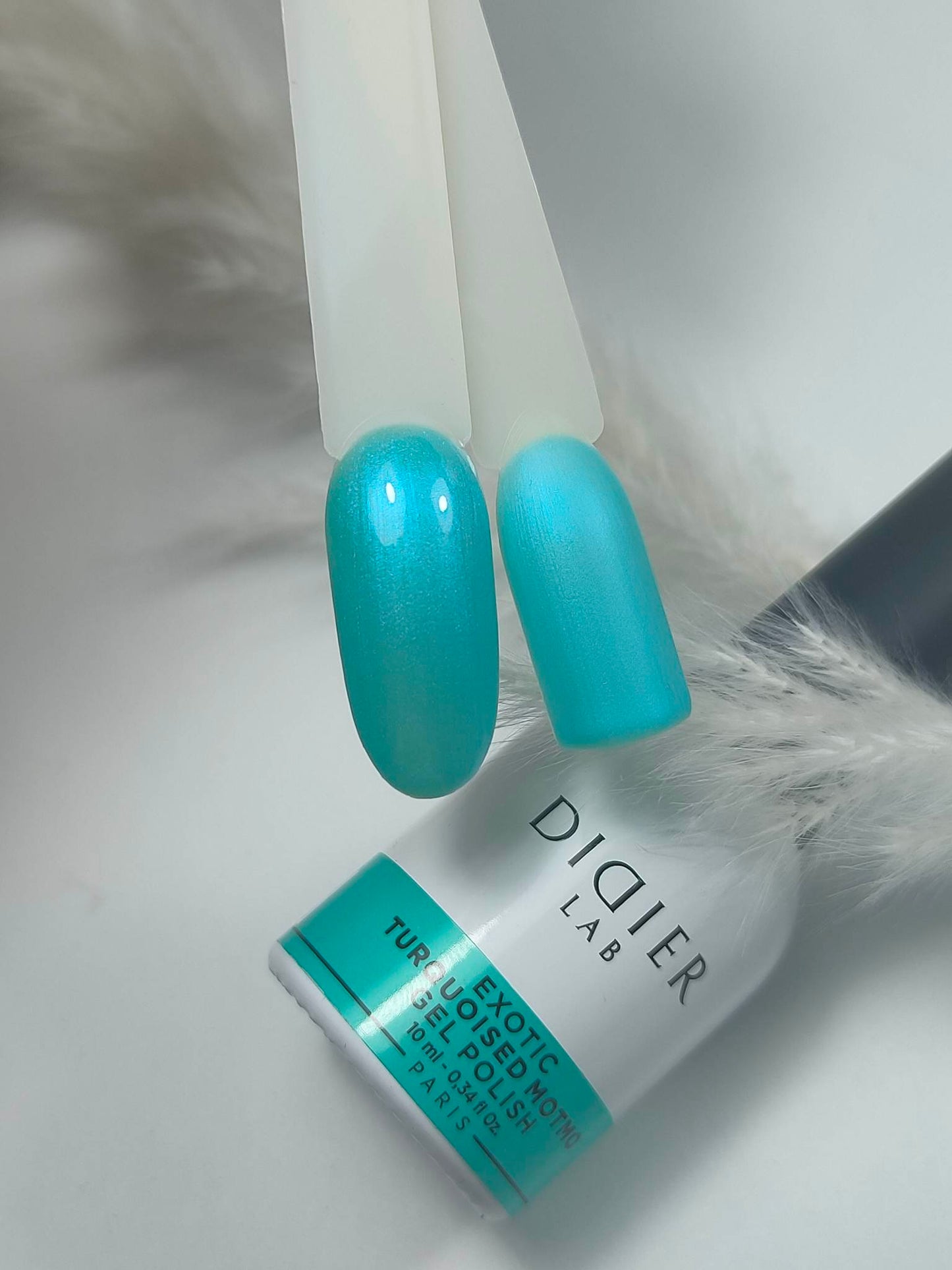 Gēla laka Turquoised Motmo, Exotic, "Didier Lab", 10ml