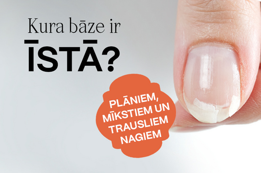 Kādu bāzi izvēlēties?