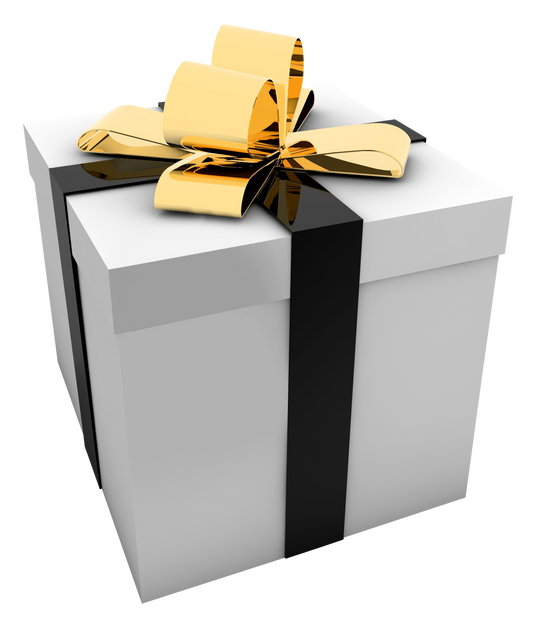 NOSLĒPUMAINĀ DĀVANA